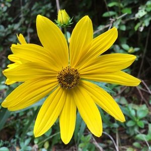 Meet your Posher, Mendy